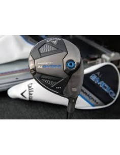 BOIS CALLAWAY PARADYM AI SMOKE 2