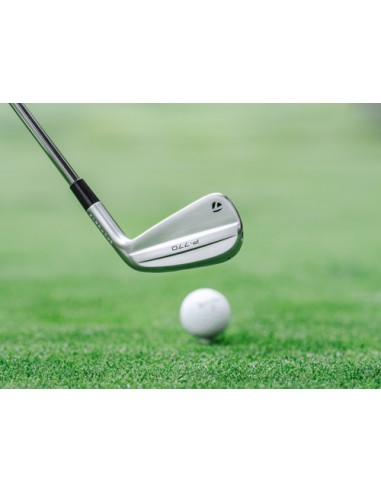 FER TAYLORMADE P790 ACIER
