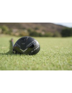 HYBRIDE COBRA DS ADAPT 2