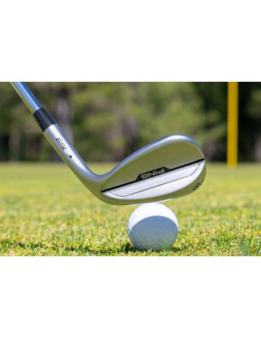 WEDGE PING GLIDE S159