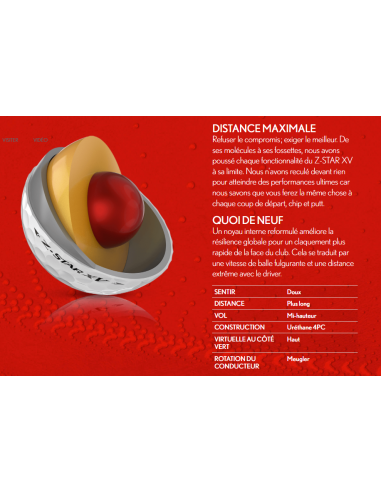 BALLES SRIXON ZSTAR XV