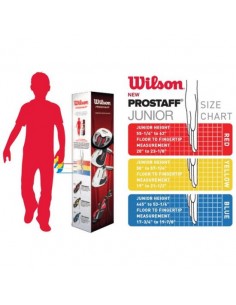 DEMI SERIE JUNIOR WILSON 2